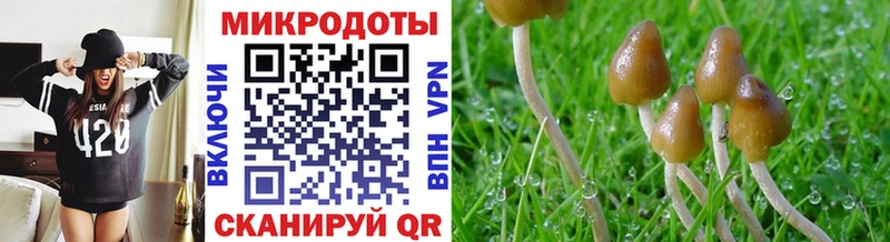 Галлюциногенные грибы GOLDEN TEACHER  мориарти телеграм  Истра 